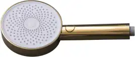 Душевая лейка Allen Brau Priority 5.31B20-GB золото брашированное