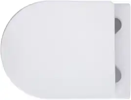 Унитаз подвесной Aquanet Rimless Cetus W Short LX-1900, с сиденьем микролифтом