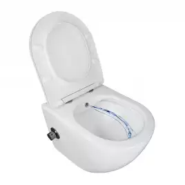 Подвесной унитаз Azario Allegro AZ-3105B c функцией биде, безободковый с сидением микролифт, цвет белый