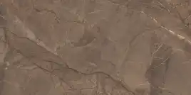 Керамогранит AZARIO ROYAL MARBLE 60х120 High Glossy (P3060821120HG)