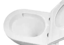 Унитаз подвесной Azario Fora AZ-0017-UQ3 подвесной, безободковый, со смывом 