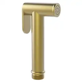 Гигиенический душ AVS 811-610-BG, брашированное золото