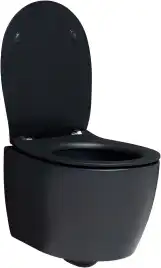 Подвесной безободковый унитаз Allen Brau Fantasy 4.11004.31 без сиденья, черный матовый