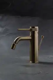 Смеситель для биде Allen Brau Priority 5.31A04-GB (с донным клапаном) золото