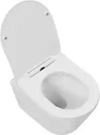 Унитаз подвесной Aquanet Atago 3.0 Tornado с сиденьем микролифт 348006, белый