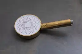 Душевая лейка Allen Brau Priority 5.31B20-GB золото брашированное