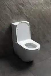 Напольный унитаз Allen Brau Priority Tornado 4.31006.20 безободковый, цвет белый глянец