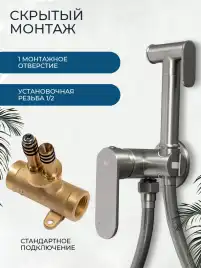 Гигиенический душ со смесителем AVS Beauty 811-531-GM, оружейная сталь