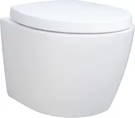 Унитаз подвесной Aquanet ZV-1 с сиденьем микролифт, белый