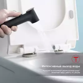 Смеситель с гигиеническим душем Raglo R03.53.06, Черный матовый
