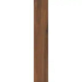 Керамогранит AVS Bosco Brown 20x120 матовый, темное дерево