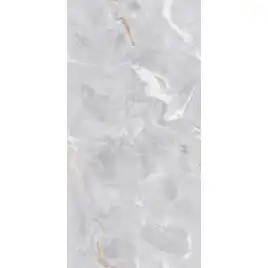 Керамогранит AVS Edonyx Grey 60x120 полированный, серый