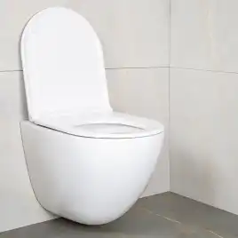 Унитаз подвесной AVS Атлант 801-0045-P-T2-GW безободковый, со смывом Торнадо, белый