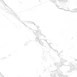 Керамогранит AZARIO ESTETICA 60х60 Glossy (ESTETICA)