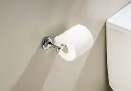 Держатель туалетной бумаги Aquatek Классик AQ4508CR, Хром