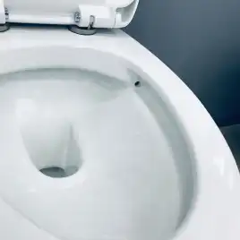 Унитаз подвесной AVS Эллипс 801-0043-P-R-GW безободковый, белый