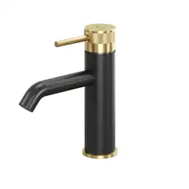 Смеситель для раковины Allen Brau Priority 5.31A01-31GB черный/золото