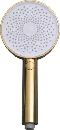 Душевая лейка Allen Brau Priority 5.31B20-GB золото брашированное