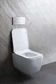 Подвесной унитаз Allen Brau Liberty 4.33007.20 безободковый, цвет белый