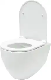 Подвесной безободковый унитаз Allen Brau Reality 4.32006.20 без сиденья, белый глянец