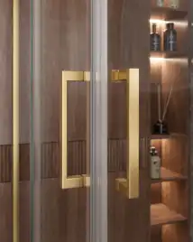 Душевой уголок CEZARES MOLVENO-A-2-100-C-BORO-IV стекло Прозрачное, профиль Брашированное золото