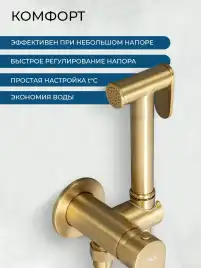 Гигиенический душ со смесителем AVS Beauty 811-531-BG, брашированное золото