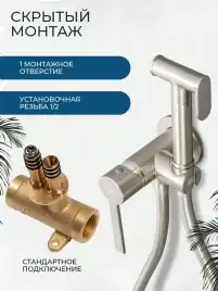 Гигиенический душ со смесителем AVS Elegant 811-431-BN, брашированный никель