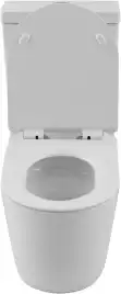 Чаша напольного унитаза Aquanet ZV-2-C1 с сиденьем микролифт, белый