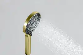 Душевая лейка Aquatek Лугано AQ2201BG, Золото шлифованное