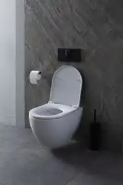 Подвесной безободковый унитаз Allen Brau Reality 4.32006.20 без сиденья, белый глянец