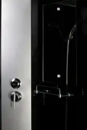 Душевая кабина Niagara Classic 100х100х210 NG-3502-14BKT средний поддон, без гидромассажа, 35021434BKT