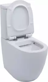 Чаша напольного унитаза Aquanet Rimless Cetus-C1 BL-102N-TPT с сиденьем микролифт