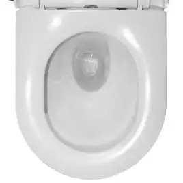 Унитаз подвесной Azario Gloria AZ-2003T подвесной, безободковый, со смывом 