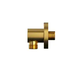 Шланговое подключение WHITECROSS Y brushed gold Y1008GLB, Золото брашированное