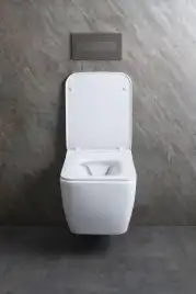 Подвесной унитаз Allen Brau Liberty 4.33007.21 безободковый, цвет белый матовый