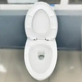 Унитаз подвесной AVS Эллипс 801-0043-P-R-GW безободковый, белый