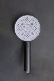 Душевая лейка Allen Brau Priority 5.31B20-MG графит брашированный