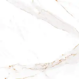 Керамогранит AZARIO AFION GOLD 60х60 Glossy (P104082160G)