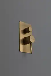 Смеситель для душа Allen Brau Priority 5.31011-GB (с внутренней частью, 2 выхода) золото