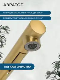 Смесители для кухни AVS 811-191-BG, брашированное золото