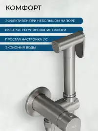 Гигиенический душ со смесителем AVS Beauty 811-531-GM, оружейная сталь