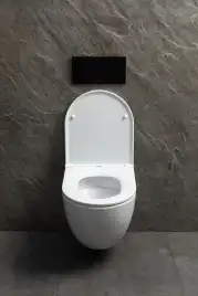 Подвесной унитаз Allen Brau Priority Tornado 4.31009.20 безободковый, цвет белый глянец