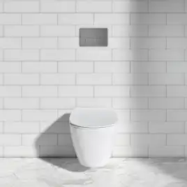 Механическая панель смыва Ideal Standard OLEAS™ M1 R0115AA