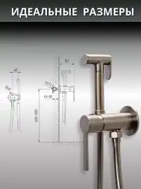 Гигиенический душ со смесителем AVS Elegant 811-431-GM, оружейная сталь