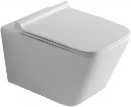 Унитаз подвесной Aquanet Rimless Tavr-W BL-103N-WHT, с сиденьем микролифтом