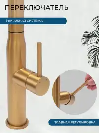 Смеситель для кухни AVS PureRiver 811-171-BG с выдвижным изливом, брашированное золото