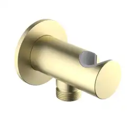 Шланговое подключение Aquatek  AQ2464BG, Золото матовое