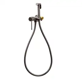 Гигиенический душ со смесителем AVS SEEME 811-331-GM, оружейная сталь