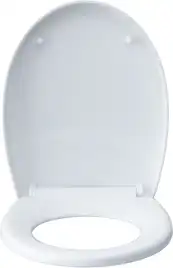 Унитаз подвесной Aquanet ZV-1 с сиденьем микролифт, белый