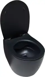 Подвесной безободковый унитаз Allen Brau Fantasy 4.11004.31 без сиденья, черный матовый